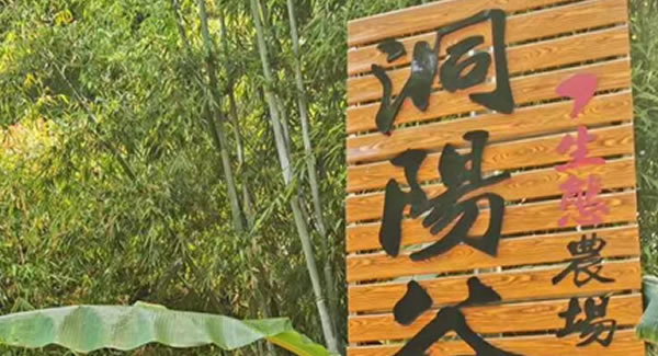 6t体育合页2019踏春拓展--经历中成长，成长中经历