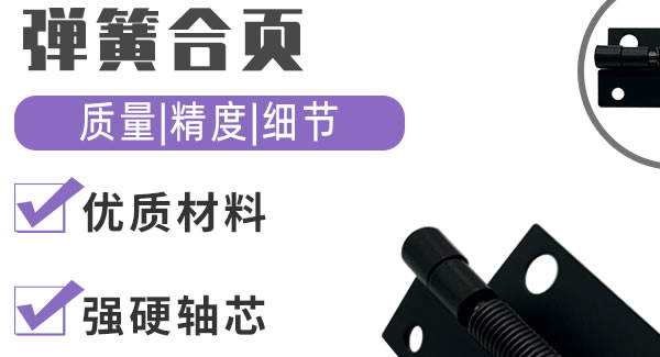 弹簧合页，引领生活|6t体育五金&东莞合页