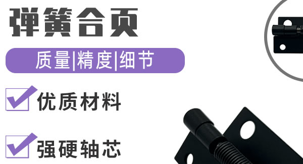 弹簧合页，引领生活|6t体育五金&东莞合页