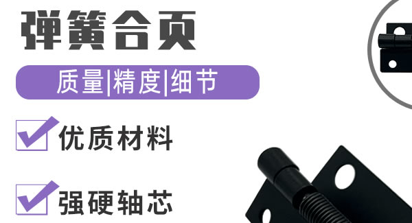 弹簧合页，你身边信赖的合页|6t体育五金&东莞合页